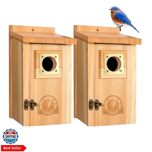 Pack bird houses for outside - bird,