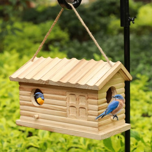 Bird house outdoor - outdoor, bluebird